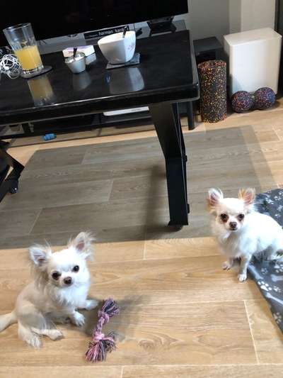 Fotochallenge 88-Beitrag-Bild