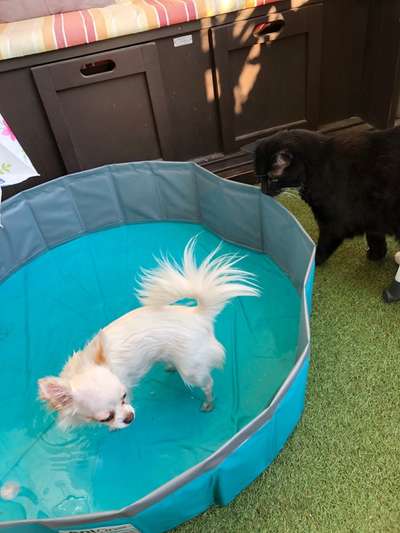 FOTOCHALLANGE NR.71 BADEFREUDE-Beitrag-Bild