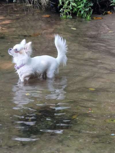 Foto Challenge - BEENDET - bitte aktuelle Challenge nutzen-Beitrag-Bild