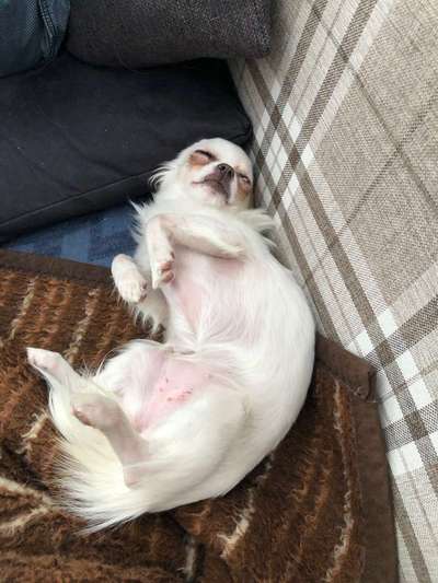 Die unbequemsten und lustigsten Schlafpositionen-Beitrag-Bild