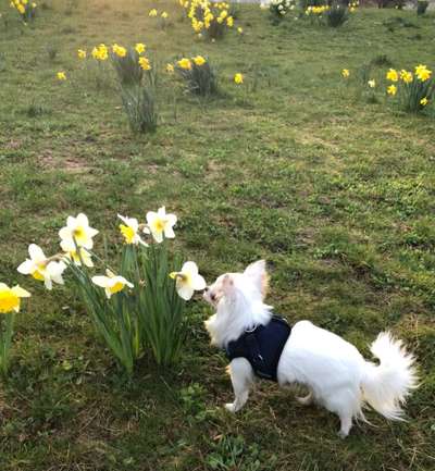 Fotochallenge 78

Es grünt und blüht-Beitrag-Bild