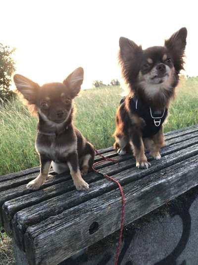 Fotochallenge 88-Beitrag-Bild