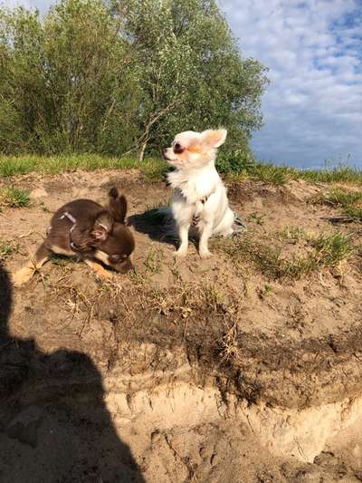 Foto-Challange No.1 - Alles aber nicht die Kamera-Beitrag-Bild