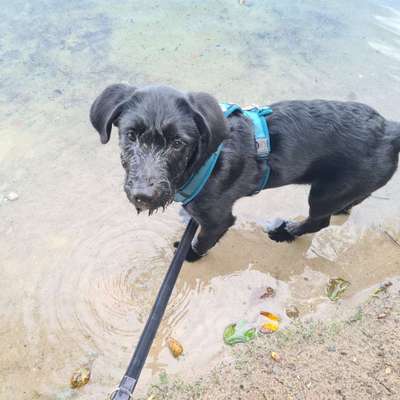 Handy-Foto Challange Nr. 10-Beitrag-Bild