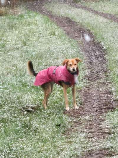 Wintermäntel bzw. Was fürn Übergang-Beitrag-Bild