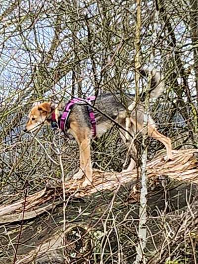 Ton in Ton-Beitrag-Bild