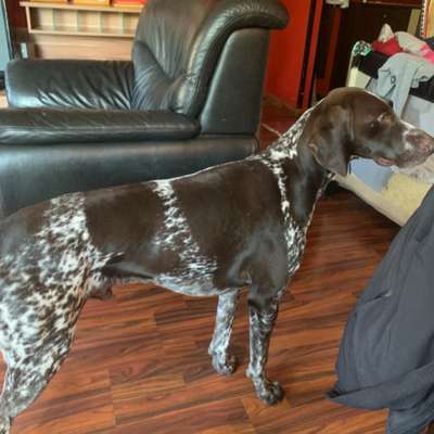 Suchmeldung-Dias-Bild