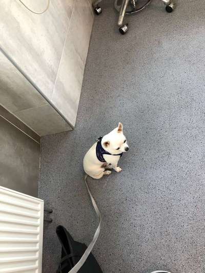 Die lustigsten Tipps-Beitrag-Bild