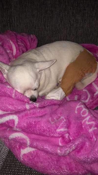 Die lustigsten Tipps-Beitrag-Bild