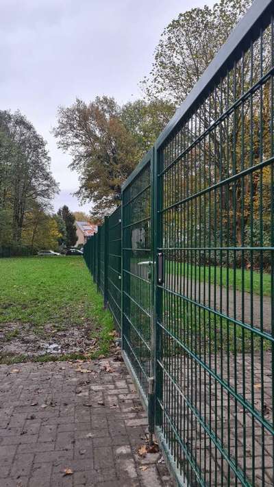 Hundeauslaufgebiet-Hundewiese am Wellenfreibad-Bild