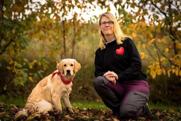 Hundetreffen-Hundegruppe für Training/Beschäftigung /Spaß /Spaziergang gesucht-Bild