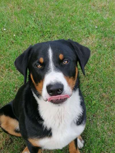 Her mit dem Grimassen-Beitrag-Bild