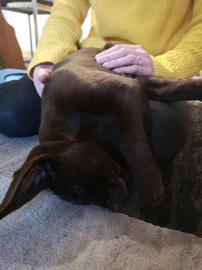 Die unbequemsten und lustigsten Schlafpositionen-Beitrag-Bild