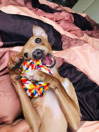 Lieblings Schnappschuss?-Beitrag-Bild