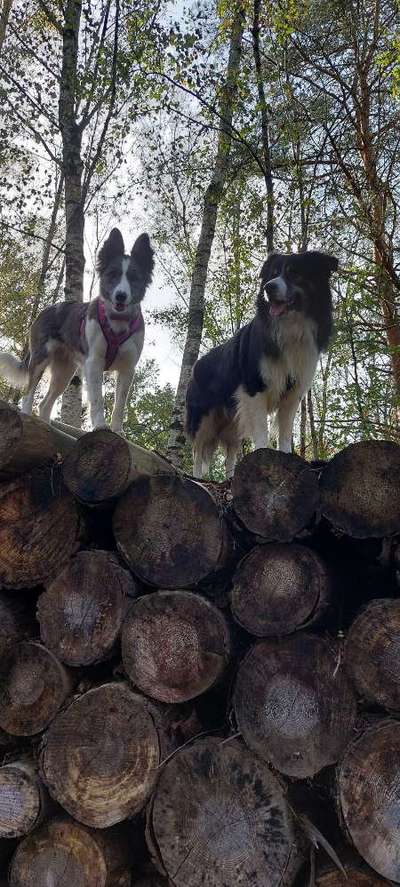 27. Handy Fotochallenge-Beitrag-Bild