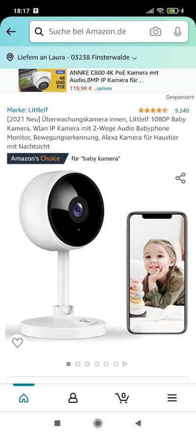 Hunde-Cam-Beitrag-Bild