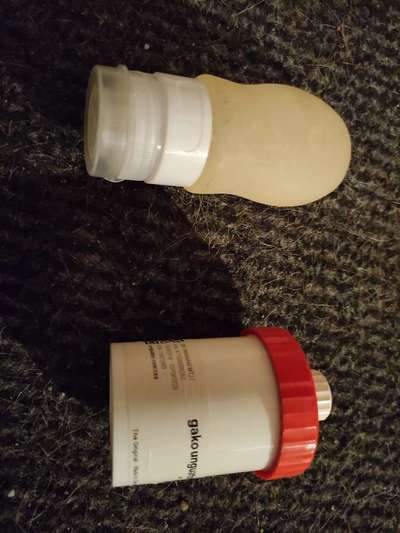 Leckerlies beim Training-Beitrag-Bild