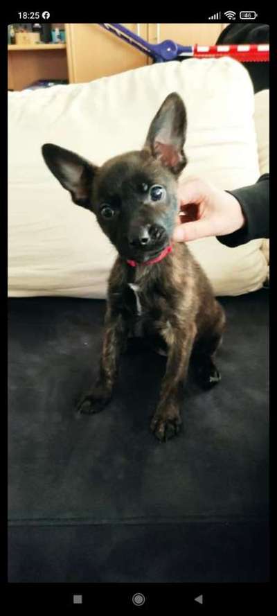 Fotowettbewerb-Beitrag-Bild