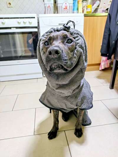 Trockenhandtuch/handschuh-Beitrag-Bild