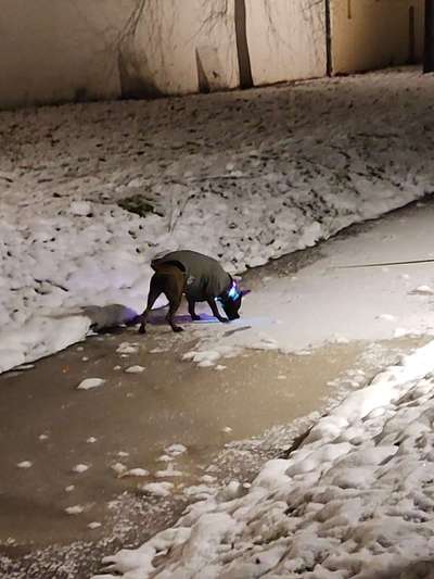 Leuchtie bei Dunkelheit bitte !-Beitrag-Bild