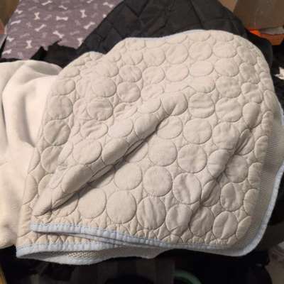 Empfehlung Kühlmatte für den Sommer / mit Gel-Beitrag-Bild