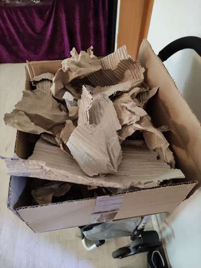 Geistige Förderung-Beitrag-Bild