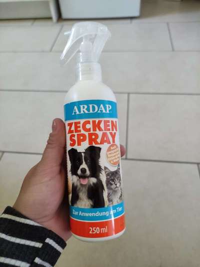 Floh/Zecken Schutz-Beitrag-Bild