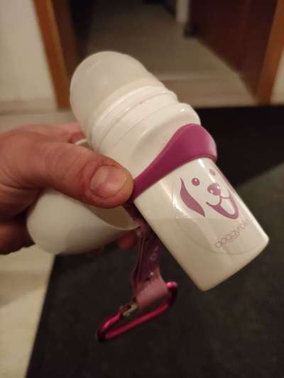 Leckerlies beim Training-Beitrag-Bild