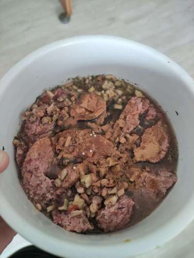 Zeigt her Eure Futternäpfe-Beitrag-Bild