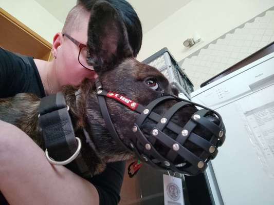 Colori Maulkorb-Beitrag-Bild