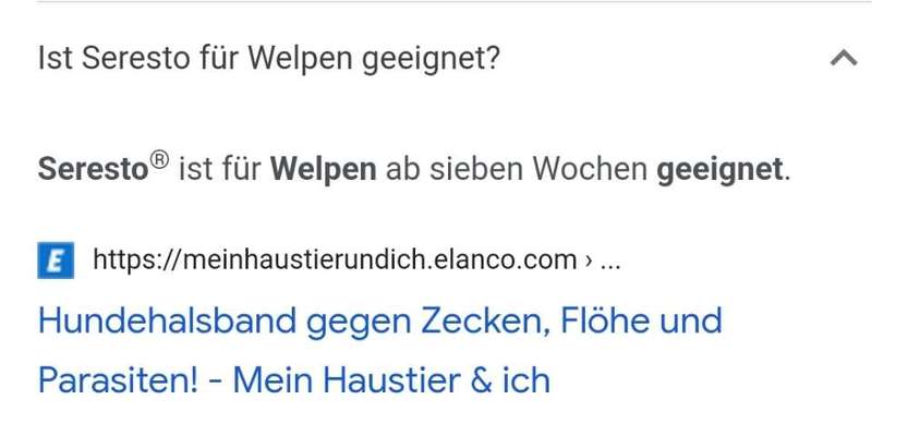 Welpe - Zecken und Flohschutz? ..-Beitrag-Bild