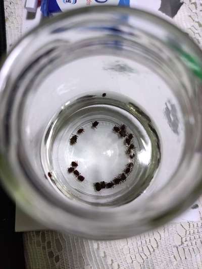 Zeig mir, dass du mit einem hund zusammenlebst....-Beitrag-Bild