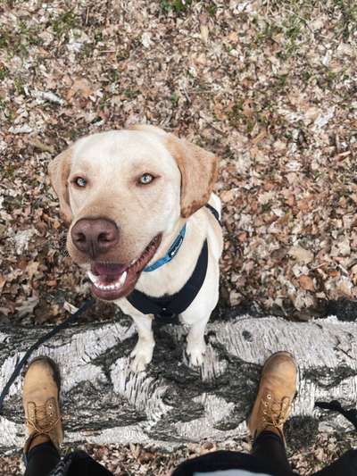 Fotowettbewerb Natur-Beitrag-Bild