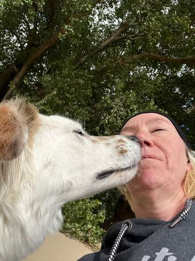 Foto-Challange No.1 - Alles aber nicht die Kamera-Beitrag-Bild