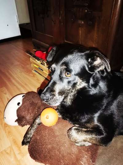 Hilfe,wir brauchen nen Ball😅-Beitrag-Bild