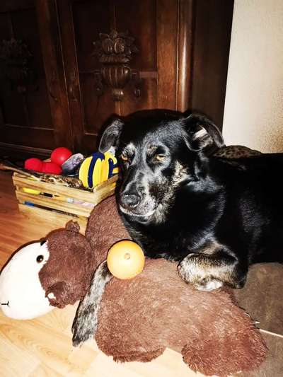 Hilfe,wir brauchen nen Ball😅-Beitrag-Bild