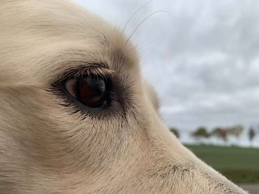 7. Collagen Challenge - Ganz Nah-Beitrag-Bild