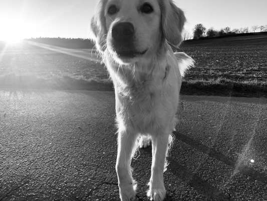 Foto-Challenge 76: Foto in Schwarz-Weiss-Beitrag-Bild