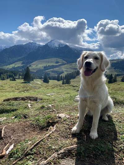 Fotochallenge Nr 107-Beitrag-Bild