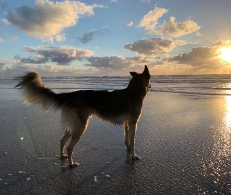 Theos Fotochallange Nummer 4-Beitrag-Bild