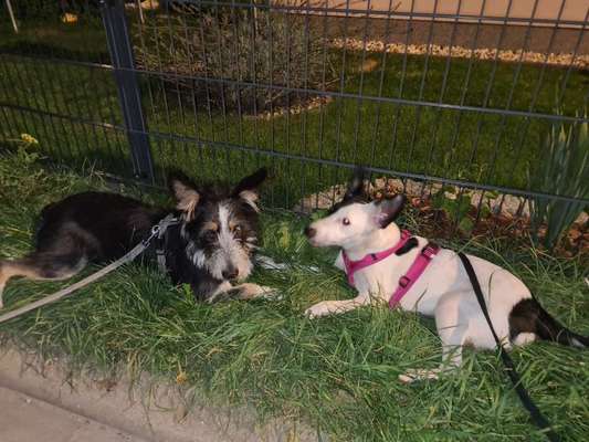 Fotochallenge liebespaare-Beitrag-Bild