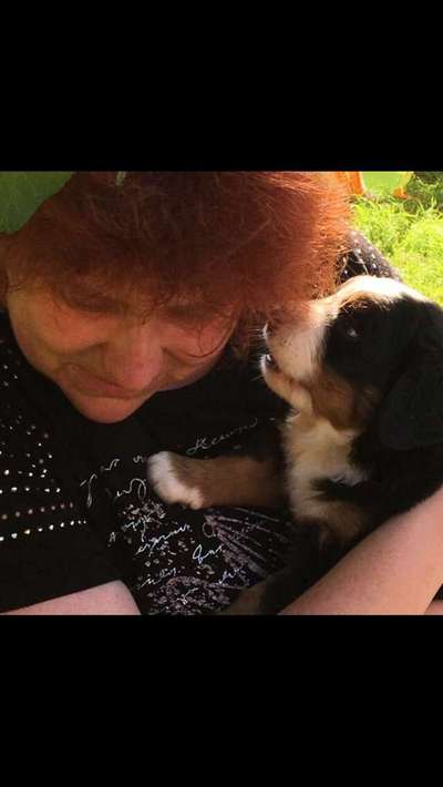 Das erste Foto-Beitrag-Bild