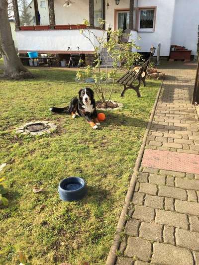 Vorher.... Nachher-Beitrag-Bild