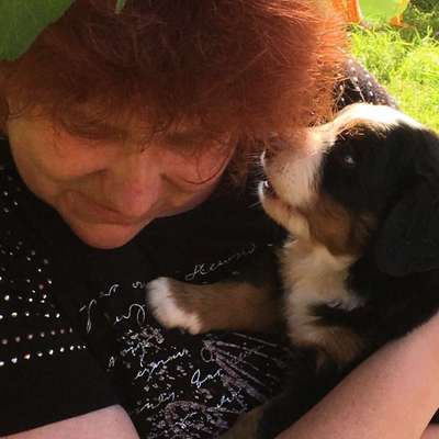 Das erste Foto-Beitrag-Bild