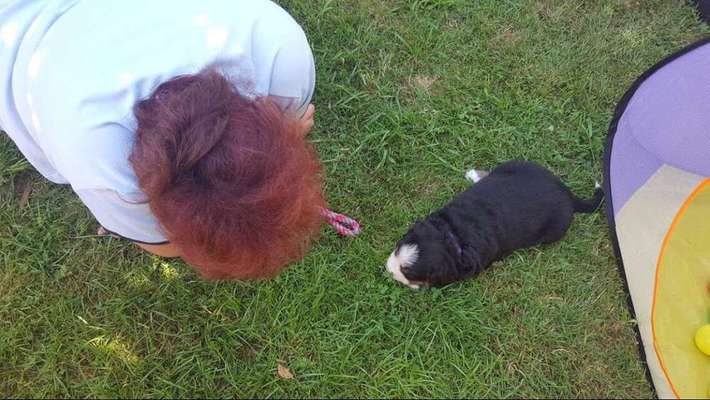 Das erste Foto-Beitrag-Bild