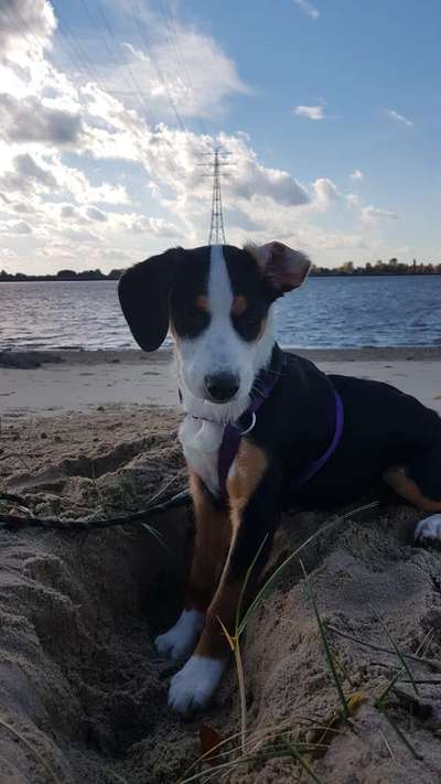 Eure Strandbilder :)-Beitrag-Bild