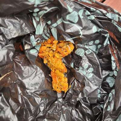 Giftköder-Möglicher Giftköder-Bild
