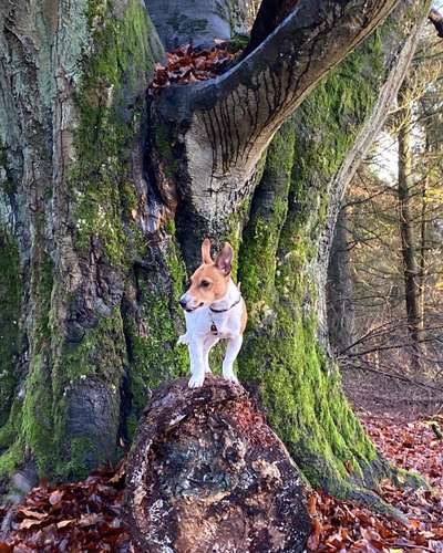 27. Handy Fotochallenge-Beitrag-Bild