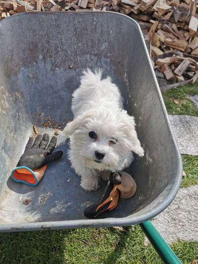Fotochallenge No. 26                                     Wald und Wiese-Beitrag-Bild