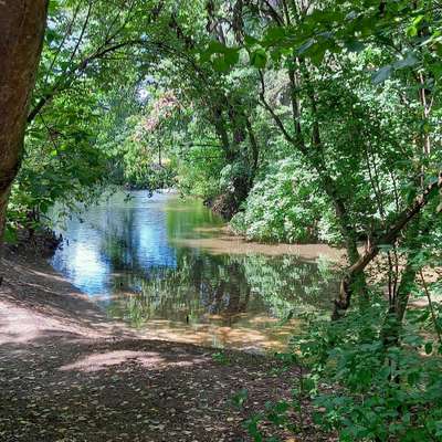 Hundeauslaufgebiet-Flussarm an der Sempt-Bild